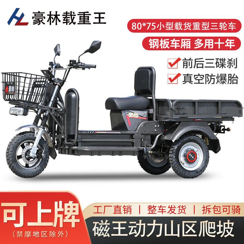 豪林载重王电动三轮车拉货小型载重王三轮车电动车长续航山区爬坡