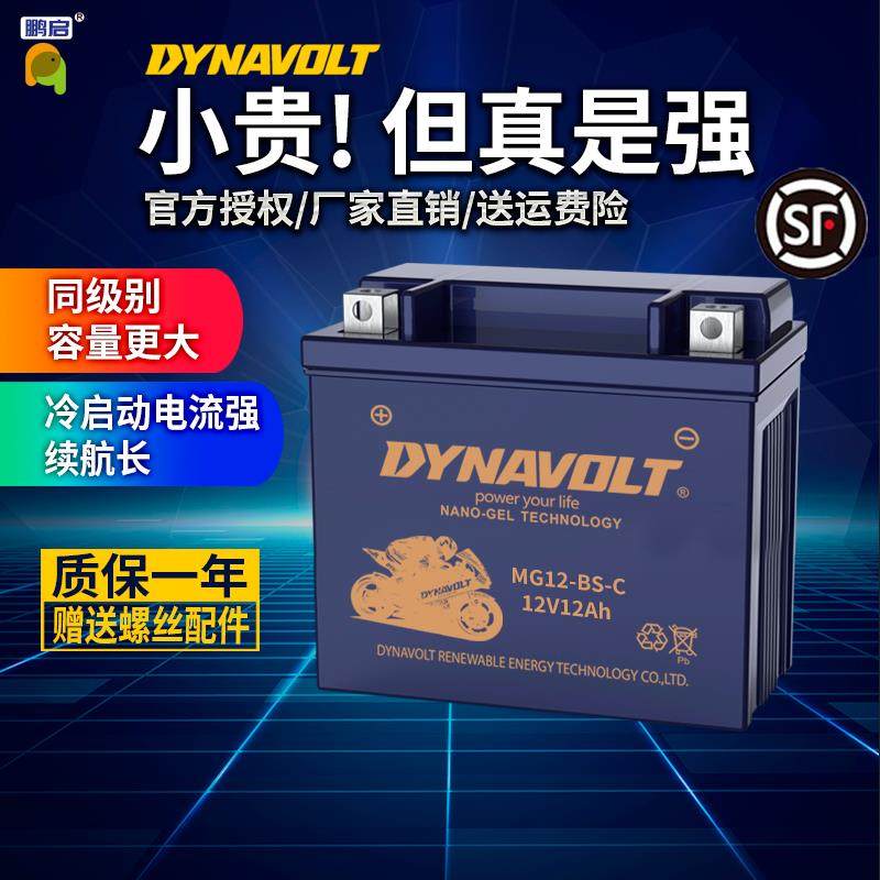 机车电瓶12v适用于猛狮春风踏板125蓄电池原装BMW哈雷干杜卡迪