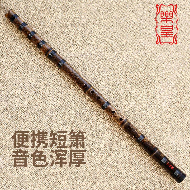 丁治国紫竹特制短箫 专业演奏级洞箫 八孔初学者乐器 G调紫竹洞箫