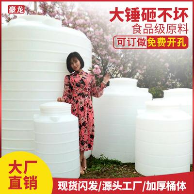豪龙加厚塑料水塔储水罐立式水箱户外大容量10吨食品级pe储水桶
