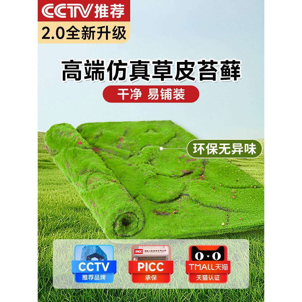 彷真苔藓草皮室内造景装饰草坪块diy人造青苔植物盆栽铺面假绿植,鲜花速递/花卉仿真/绿植园艺,仿真绿植,淘宝优惠券,粉丝福利购,淘宝优惠卷
