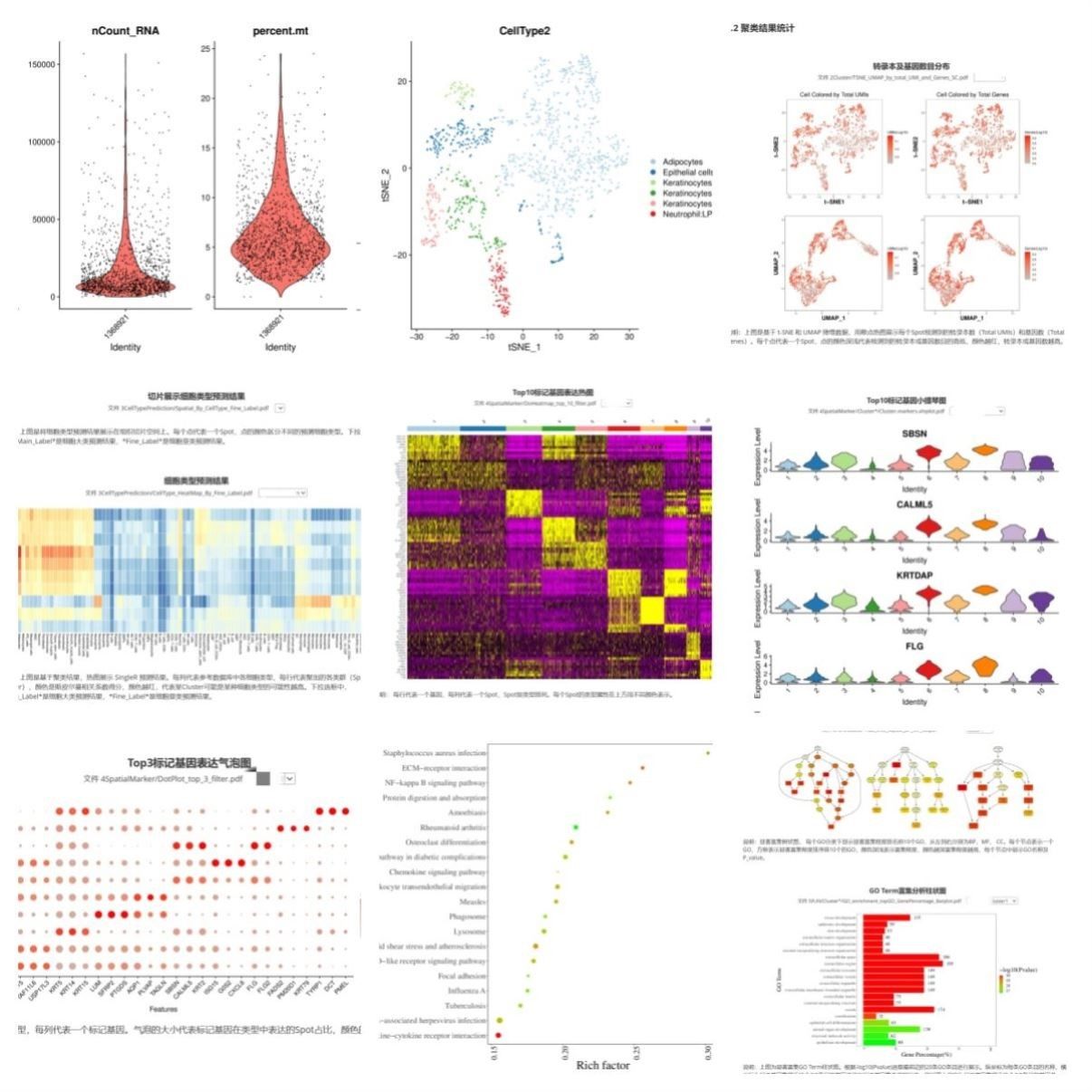 生信分析服务TCGA GEO数据库挖掘细胞测序转录组分析多组学分析,商务/设计服务,其它设计服务,淘宝优惠券,粉丝福利购,淘宝优惠卷