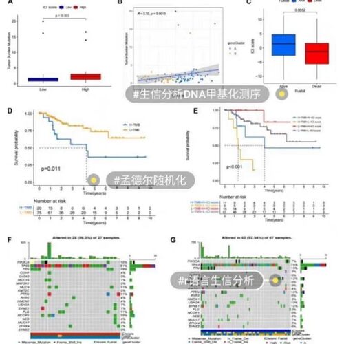 医学生信分析单细胞测序转录组TCGA GEO数据库挖掘分析服务