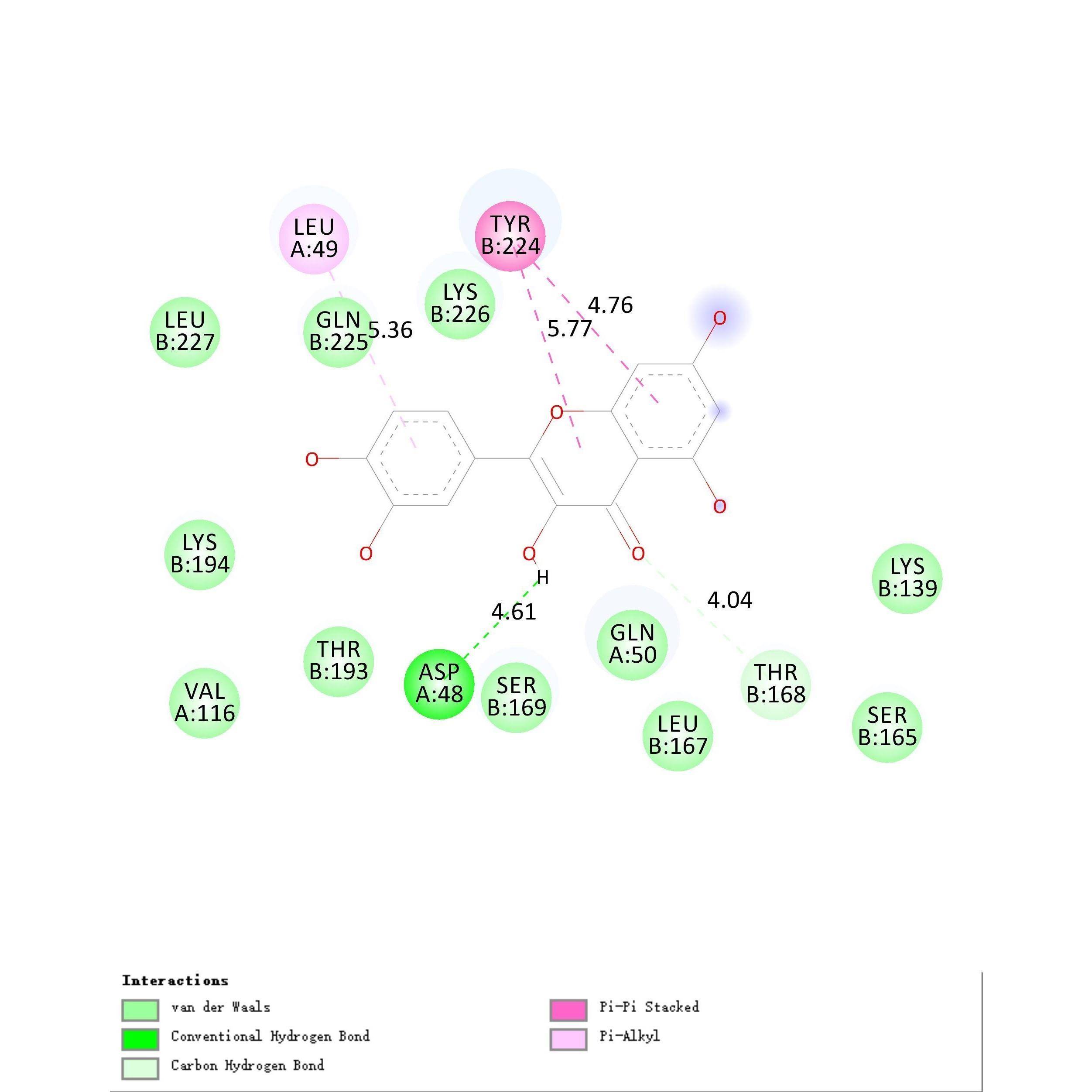网络药理学代做 分子对接 批量分子对接 小分子筛选