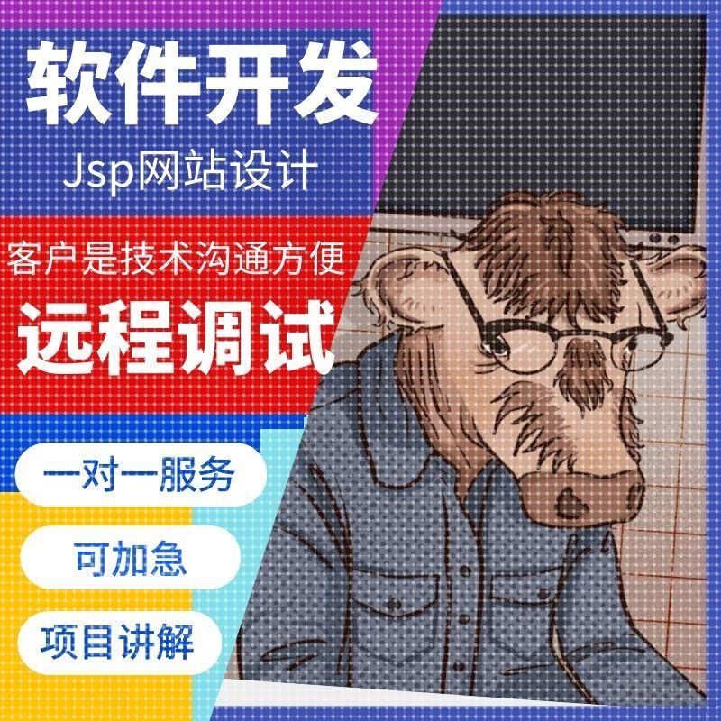 计算机软件开发jsp软件JAVA网站搭建Web项目设计VUE前端开发JAVA