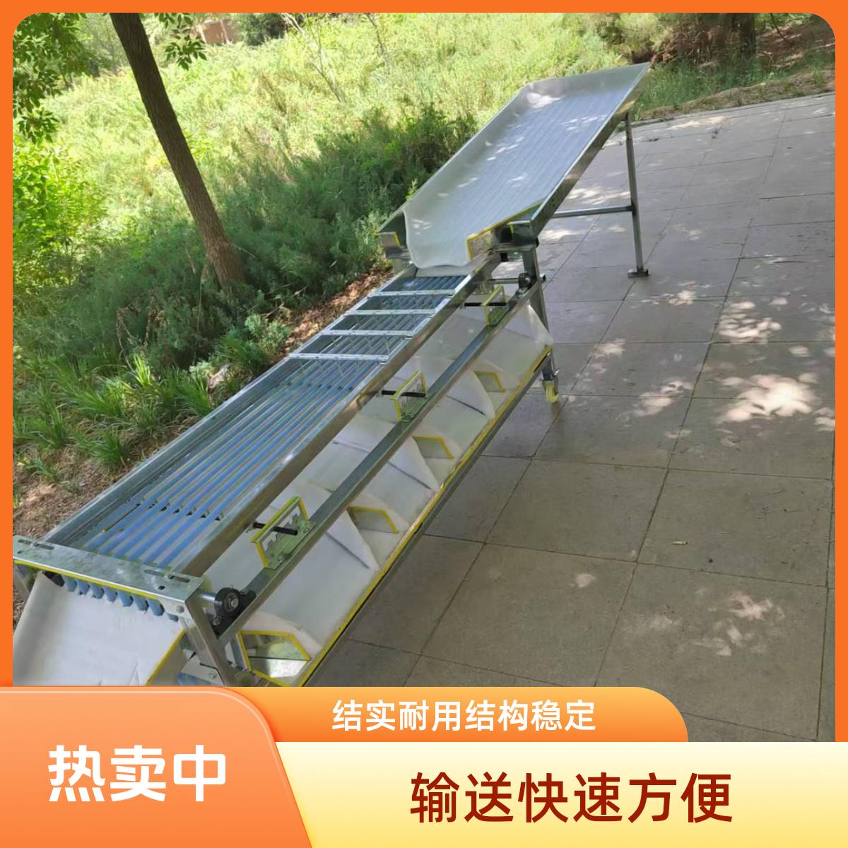 新款选果机百香果李子分选机圣女果全自动分拣机脐橙筛选机分级机