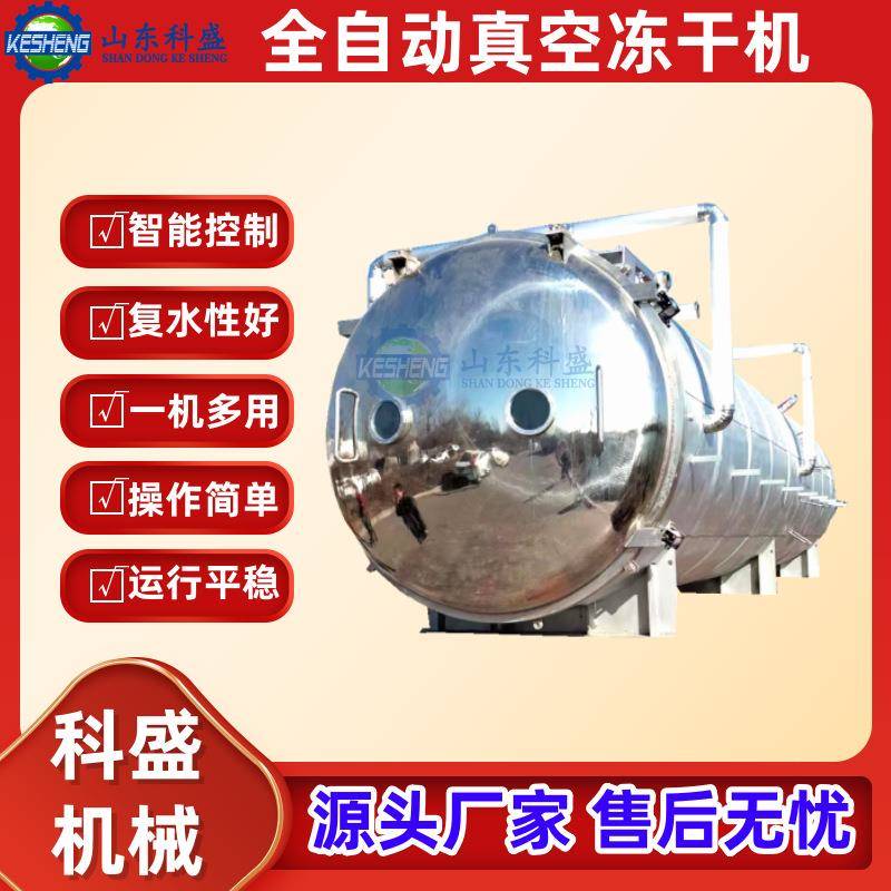 全自动冻干机 金银花山楂蓝莓冻干机 鸡爪牛肉黑蒜真空冻干机厂家