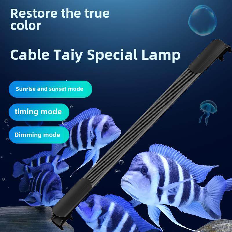 三湖彩鱼灯专业彩灯指南，三湖彩鱼灯彩鱼缸彩发潜水