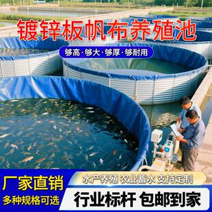 镀锌板帆布鱼池圆形水池大型高密度养殖池刀刮布加厚大容量蓄水池