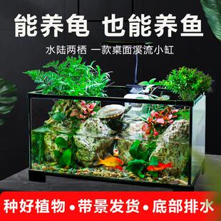 乌龟缸超白玻璃生态鱼缸小型一体水陆造景饲养箱晒爬台养乌龟专用