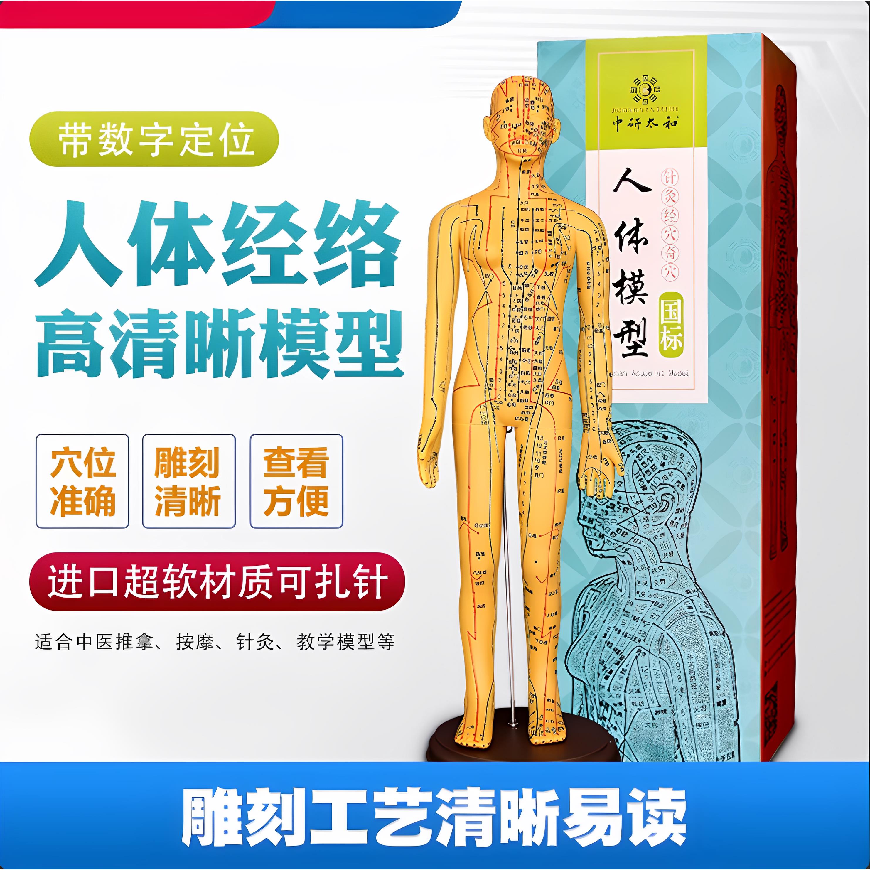 国风经络教学摆件 可活动肉粉色针灸人偶 中医针灸穴位教学模型