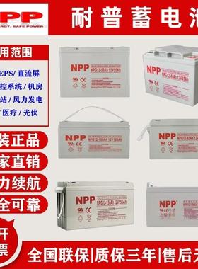 NPP耐普胶体蓄电池12V100A65A38A24A17A7A120A150A200A太阳能光伏
