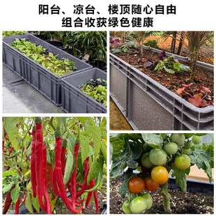 种菜神器家庭阳台长方形塑料特大加厚家用蔬菜种植箱花盆楼顶