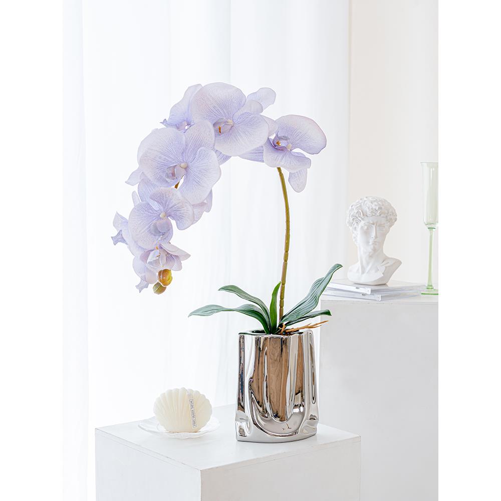 RoomTour轻奢高端蝴蝶兰仿真花摆件假花摆设客厅花艺装饰花仿生花