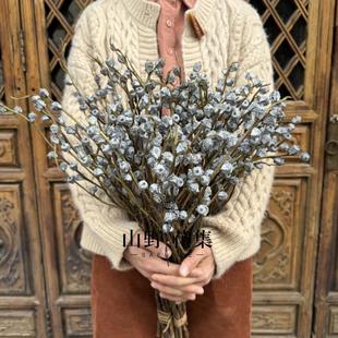 AA级特白尤加利小果云南森系天然干燥花真花干燥树枝桉树果家居装