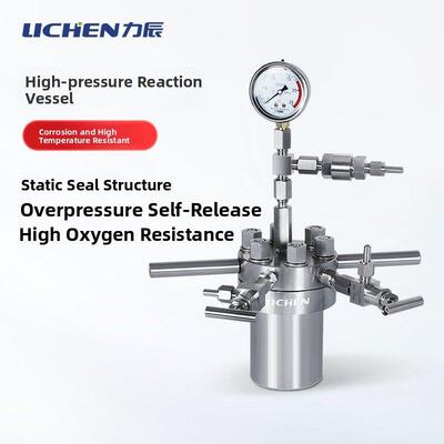 地衣科技简易高压反应釜实验室不锈钢耐高温加氢微结晶精馏消除