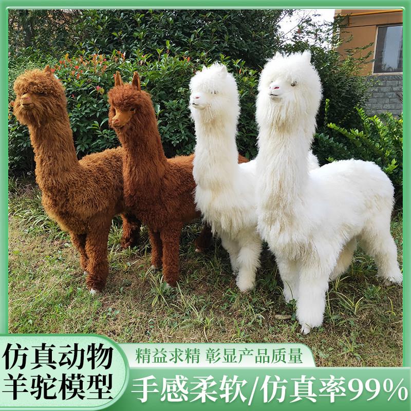 仿真动物羊驼模型景区草泥马落地摆件皮毛工艺品仿真驼羊道具标本