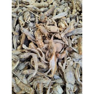兽用海杂鱼鱼干喂猪蛋鸡鸭鹅小龙虾螃蟹泥鳅黑鱼水产养殖饲料鱼干