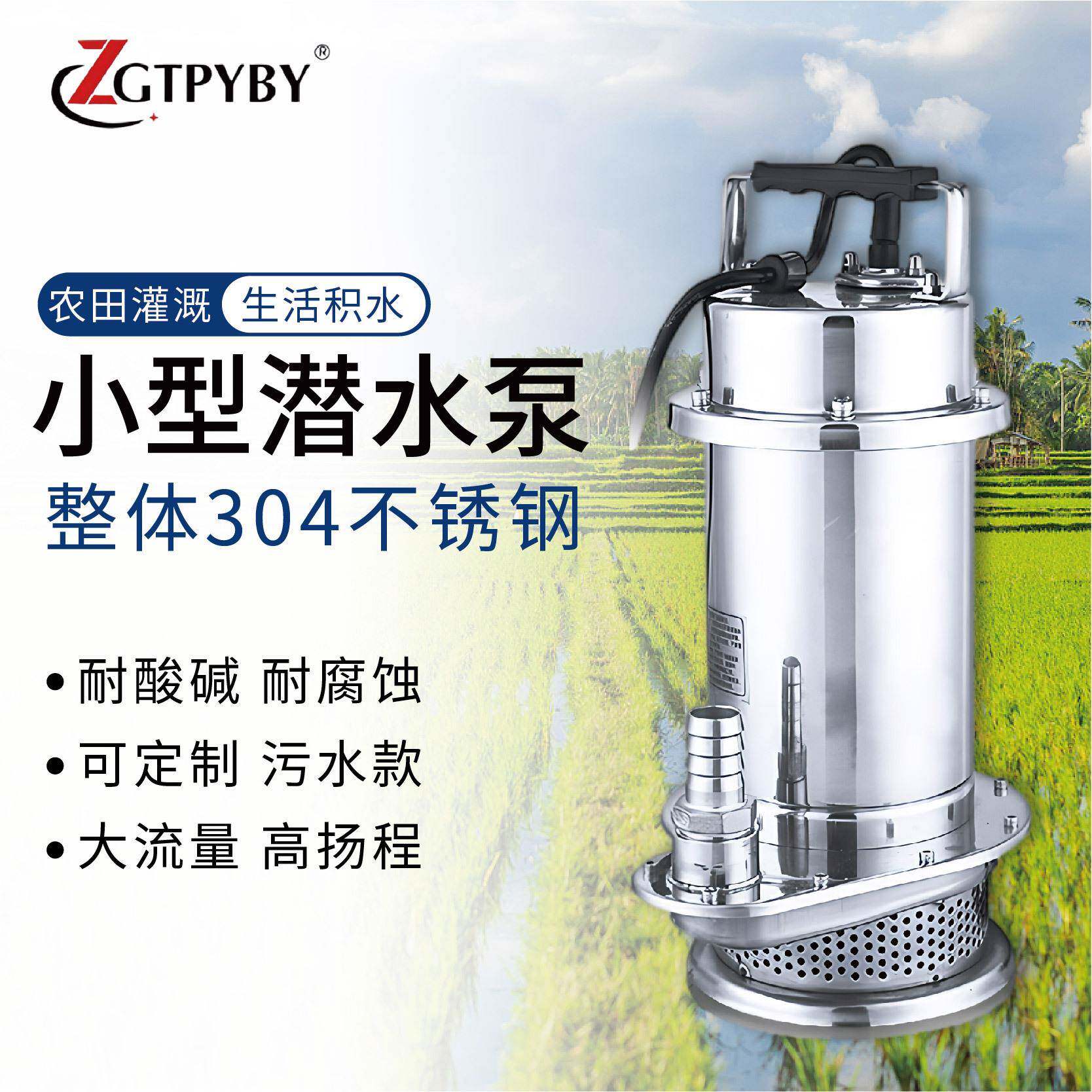 不锈钢潜水泵220v抽水泵农用灌溉家用潜水泵抽井水景观喷泉泵380v