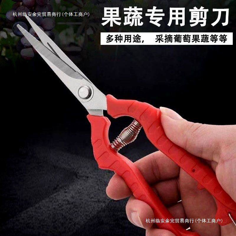 不锈钢多用途修枝剪园艺蔬果采摘剪子花店新款葡萄剪其他余完