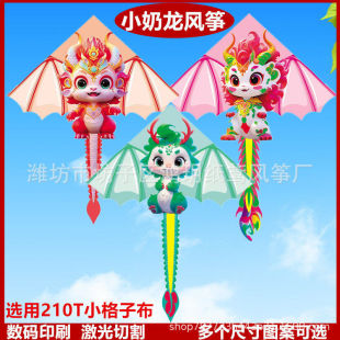新款小奶龙小飞龙小龙风筝网红款成人儿童易飞风筝公园地摊风筝
