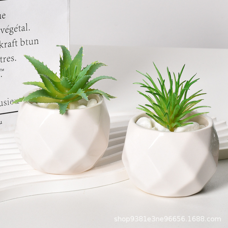 白色拇指多肉陶瓷花盆简约仿真多肉桌面植物装饰迷你摆件花盆