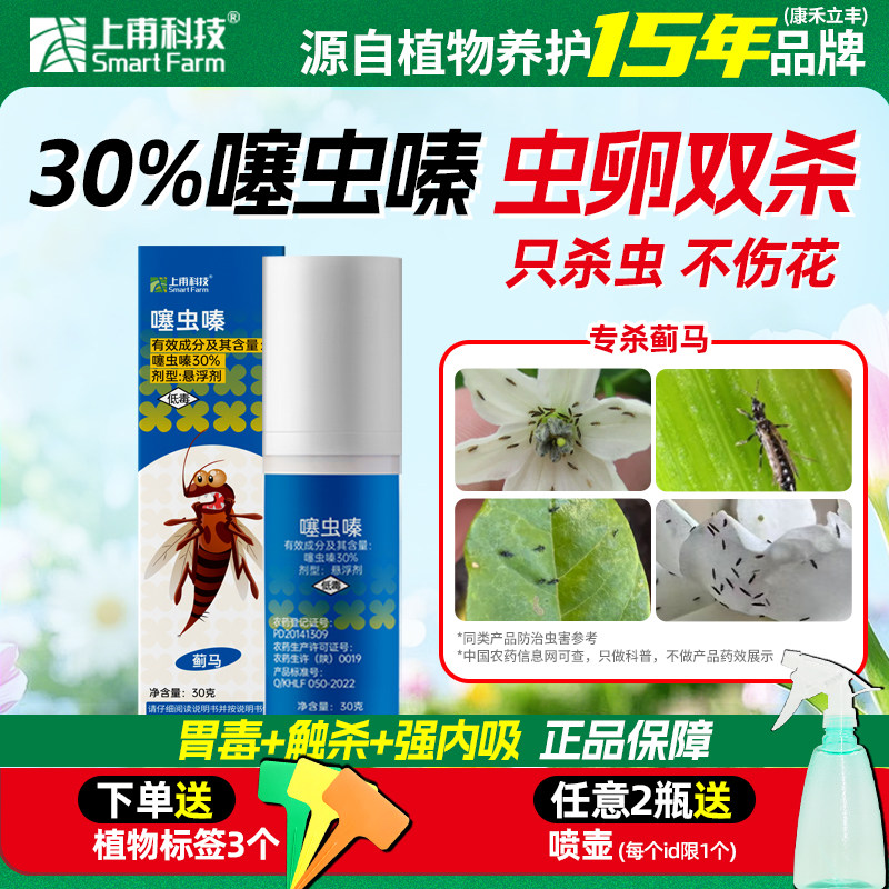 30%联苯噻虫嗪杀虫剂蓟马