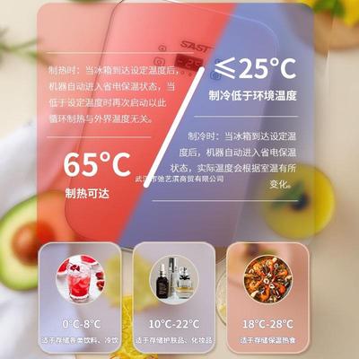 SAST车载迷你小冰箱12v汽车小型家用宿舍单人冷藏车家两母乳储奶