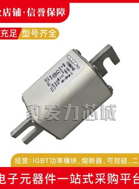 6170M4158/41589IZT/4160/4161/41462/4163/164/65/66/67/6/9熔断