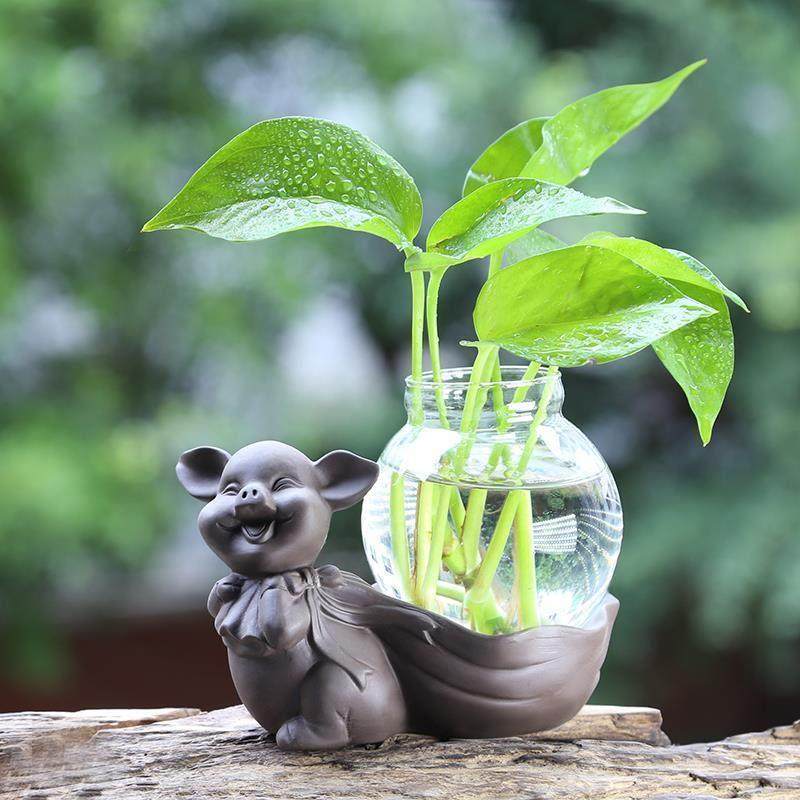 精品可爱紫砂小猪茶宠物茶盘饰品创意水培插花玻璃球小花装置饰品,餐饮具,茶宠摆件,淘宝优惠券,粉丝福利购,淘宝优惠卷