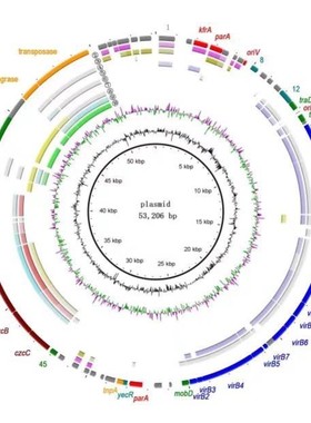 ChIPseq转录因子结合位点分析