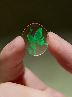 蝴蝶裸眼3D全息照片小众高级创意手工礼物迷你摆件生日送男友女友
