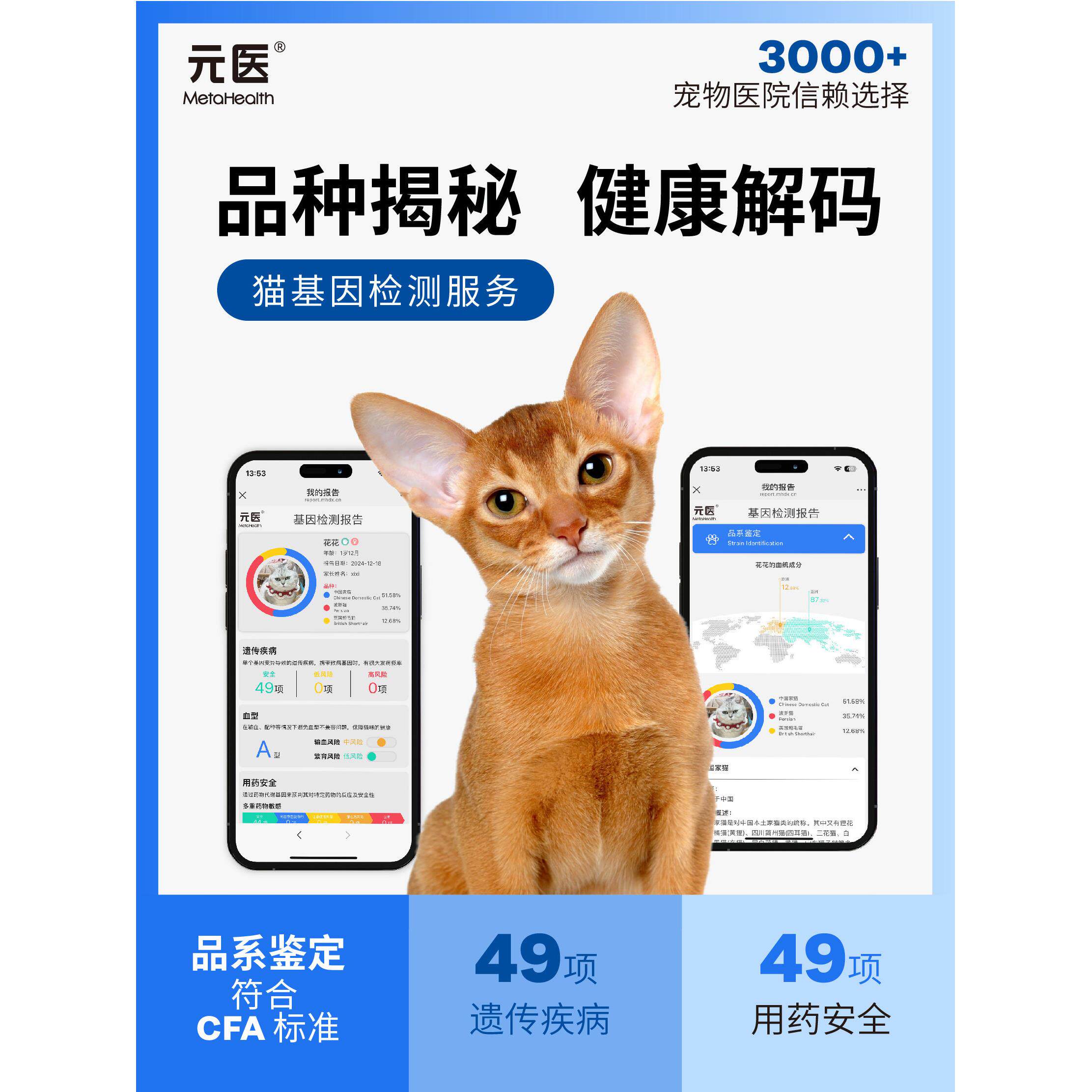 元医宠物基因检测猫咪基因检测品种遗传疾病检测小猫基因检测