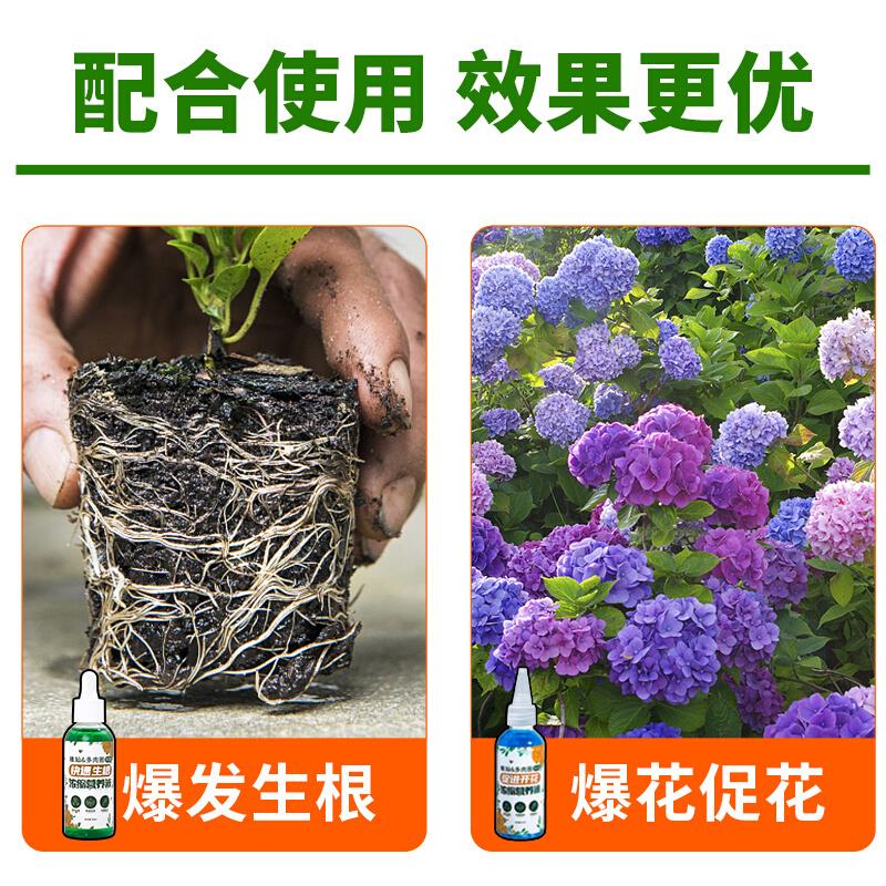 快速生根液绿植通用型营养液水培植物多肉花肥花卉盆栽壮苗生根剂