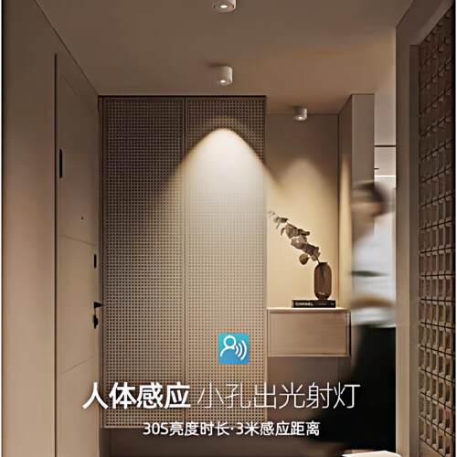 人体自动感应亮小射灯LED明装防眩入户门玄关楼梯走廊走道灯迎宾
