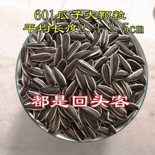 2024新疆大颗粒瓜子新鲜饱满葵花籽香脆原味生瓜子新货向日葵