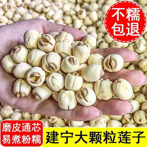 【净重无干燥剂】2024新货福建建宁莲子农家手工去芯白莲干货500g