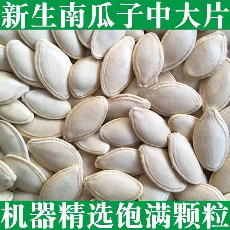新货生南瓜子5斤装 2斤1斤 生南瓜子 瓜子类坚果零食生南瓜子