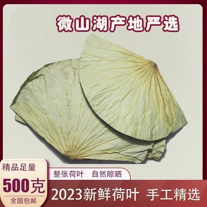 微山湖干荷叶整张500克荷叶鸡糯米鸡荷叶茶2022新鲜大张莲藕叶