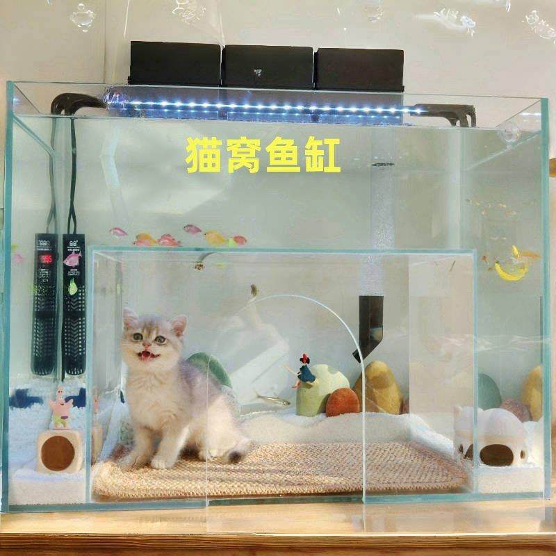 猫观赏鱼鱼缸沉浸式观鱼猫窝真金水晶超白玻璃厂家直销可运海外,宠物/宠物食品及用品,桌面缸,淘宝优惠券,粉丝福利购,淘宝优惠卷