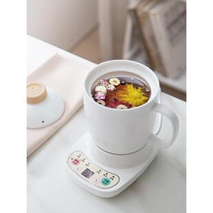 办公室健康杯电炖杯加热水杯茶杯陶瓷小迷你汤和粥杯电加热杯