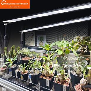 广联天下植物生长灯条形灯全光谱自然光热植物花架植物柜补光排灯
