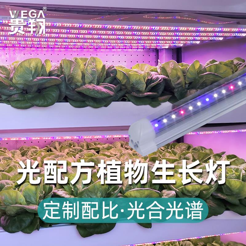 贵翔 全光谱LED植物生长灯多肉补光灯组培灯育苗室内仿太阳光家用
