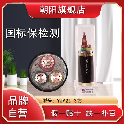 YJV22 3*4 6 10 16 25 35 50 70 95 120 150 185 240 铠装电缆