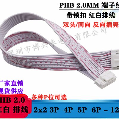 PHB2.0mm间距端子线红白排线带锁扣2*2P-2x12P双排电子线2468 26#