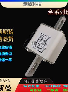 巴斯曼170M5739 170M5740 170M5741 经销优价供应 低压保险丝