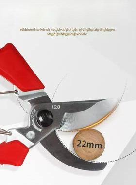 ARS爱丽斯120DX修枝剪 果树省力园艺剪枝剪刀剪花枝剪刀园林剪刀