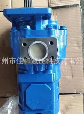 常林866配套双联齿轮泵W-01-00276