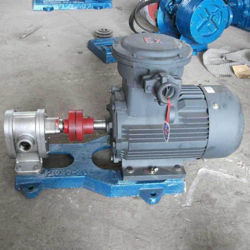 规格多样2CY-21/2.5高压齿轮泵 增压输油泵 高压油泵 齿轮油泵,鲜花速递/花卉仿真/绿植园艺,其它园艺用品,淘宝优惠券,粉丝福利购,淘宝优惠卷