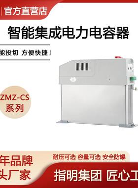指明厂家ZMZ-CS/450-10智能集成电力电容器 三相共补分相补偿电容